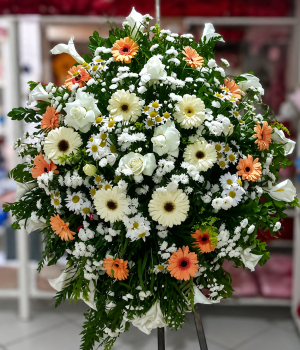 coroa funebre