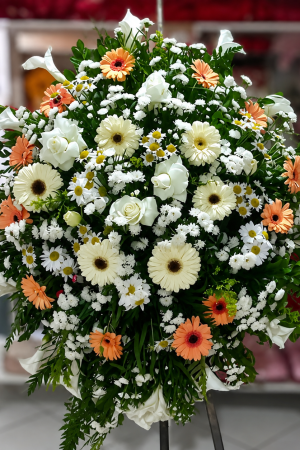 coroa funebre