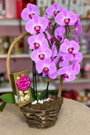 flores plantadas